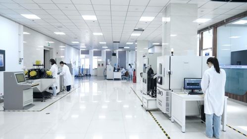 新技術激活新潛力 東北石油大學賦能國家能源安全與網絡信息安全軟件開發(fā)